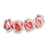 Figurinha de Amor para WhatsApp