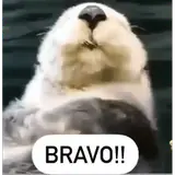 Figurinha para WhatsApp