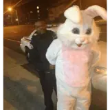 Figurinha de Memes para WhatsApp