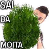 Figurinha para WhatsApp