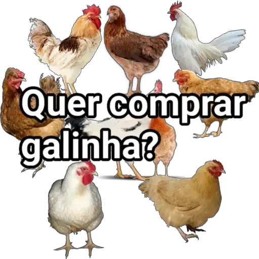 Coletadas sticker 4910
