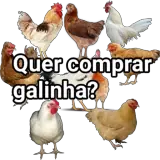 Figurinha para WhatsApp