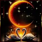 Figurinha para WhatsApp