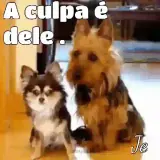 Figurinha de Cachorros para WhatsApp