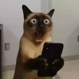 Figurinha de Animais para WhatsApp