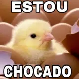 Figurinha de Memes Brasileiros para WhatsApp