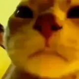 Figurinha para WhatsApp