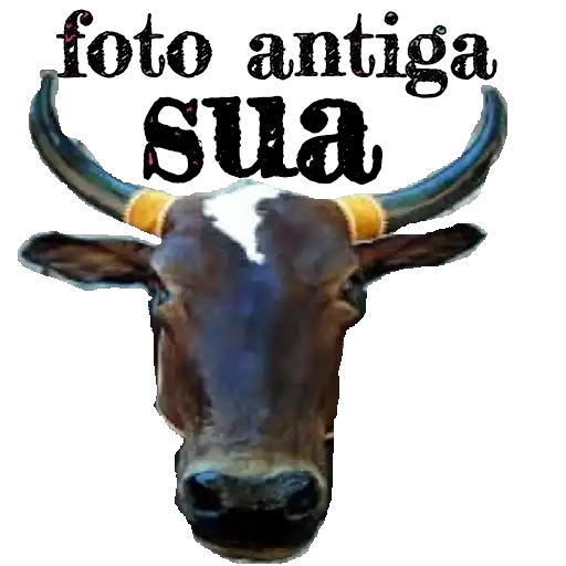 Coletadas sticker 6456