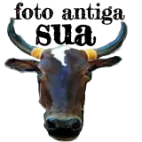 Figurinha de Memes Brasileiros para WhatsApp