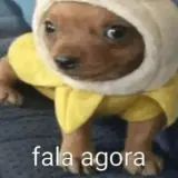 Sticker de Cachorros para WhatsApp