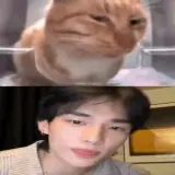 Figurinha de Animais para WhatsApp