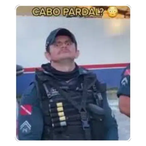 Coletadas sticker 29429