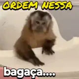 Figurinha de Memes Brasileiros para WhatsApp