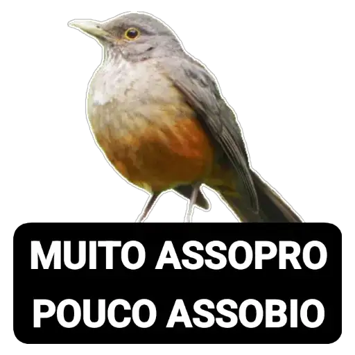 Coletadas sticker 27043