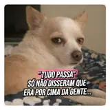 Figurinha de Cachorros para WhatsApp