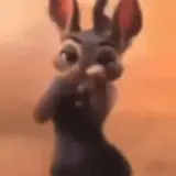 Figurinha de Animais para WhatsApp