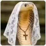 Figurinha para WhatsApp