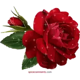 Figurinha de Amor para WhatsApp