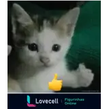 WhatsApp sticker