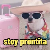 Figurinha para WhatsApp