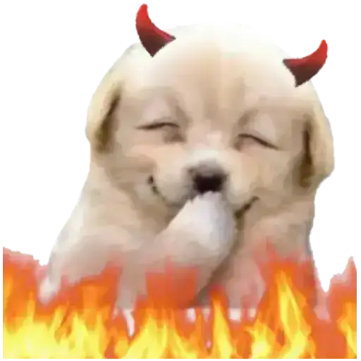 Coletadas sticker 20213