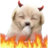 Figurinha de Cachorros para WhatsApp