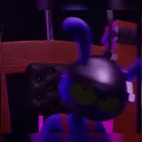 Figurinha de Gatos para WhatsApp