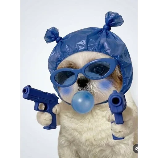 Figurinha para WhatsApp — Cachorros