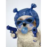 Figurinha de Cachorros para WhatsApp