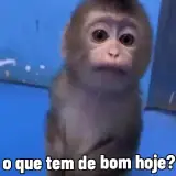 Figurinha para WhatsApp