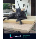 Figurinha para WhatsApp