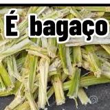 Figurinha para WhatsApp