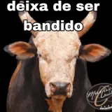 Sticker de Memes Brasileiros para WhatsApp