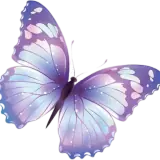 Figurinha de Animais para WhatsApp