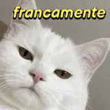 Figurinha de Gatos para WhatsApp