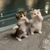 Sticker para WhatsApp