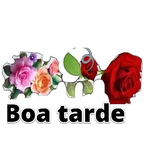 Coletadas sticker 25705