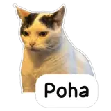 Figurinha para WhatsApp