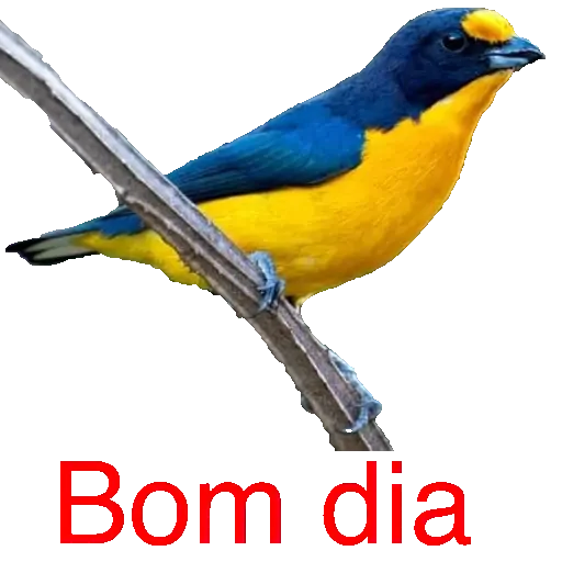 Figurinha para WhatsApp — Saudações