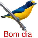 Figurinha de Saudações para WhatsApp