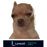 Sticker para WhatsApp