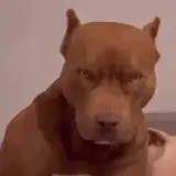 Sticker para WhatsApp