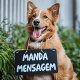 Figurinha de Cachorros para WhatsApp