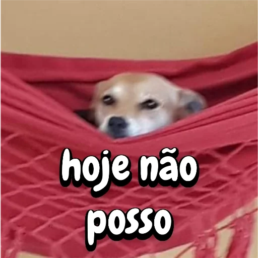 Figurinha para WhatsApp — Animais