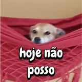 Figurinha de Animais para WhatsApp
