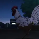 Figurinha de Animais para WhatsApp