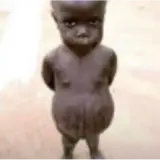 Figurinha de Memes para WhatsApp