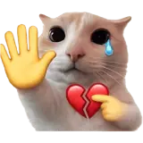 Figurinha de reação para WhatsApp