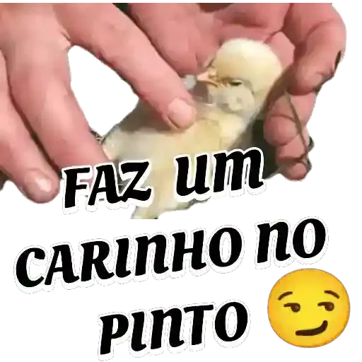Figurinha para WhatsApp — Memes Brasileiros