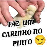 Figurinha de Memes Brasileiros para WhatsApp